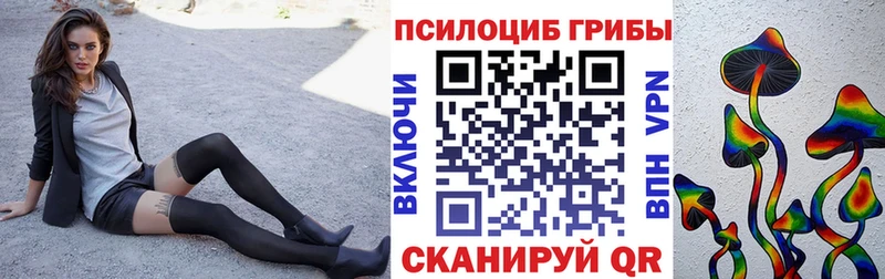ссылка на мегу маркетплейс  Балей  Псилоцибиновые грибы мухоморы 