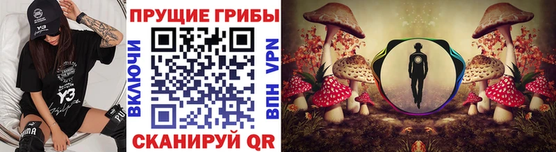 Галлюциногенные грибы ЛСД Балей